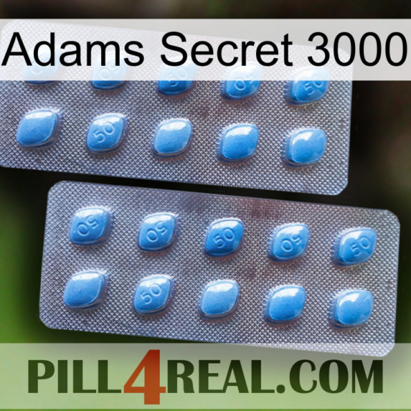 Adams Secret 3000 viagra4.jpg